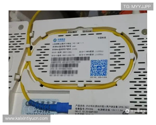 D3顶盛体育会员注册成功后如何进行账户登录与密码找回操作指南